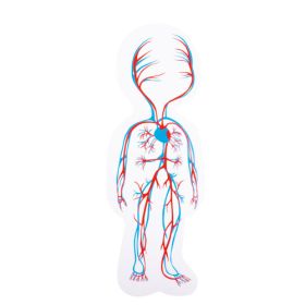 Körperpuzzle Mädchen-image