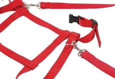 Kinder Laufleine Nylon rot-image