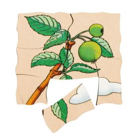 Lagenpuzzle Apfel-image