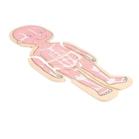 Körperpuzzle Junge-image