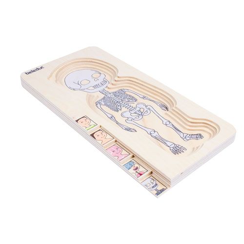 Körperpuzzle Junge-image