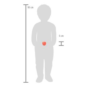 Schneide-Set Obst fresh-image