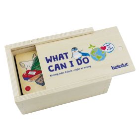 What can I do - Legespiel, richtig oder falsch-image
