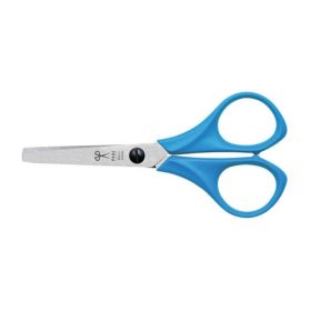 Blue Star, abgerundet-image