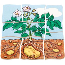 Lagenpuzzle Kartoffel-image