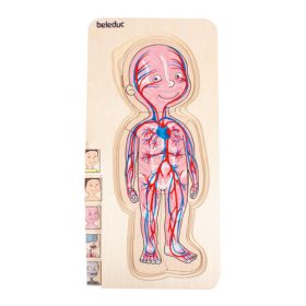 Körperpuzzle Junge-image