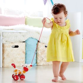 Nachziehhund Pepe-image