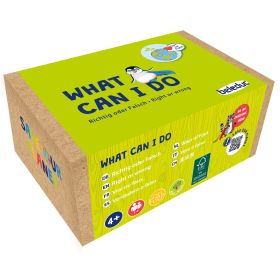 What can I do - Legespiel, richtig oder falsch-image
