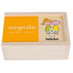 Cognito Gegensätze-image