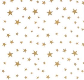 Transparentpapier Sternchen weiß, 50 x 61 cm, 10 Bogen-image