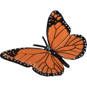 Lebenszyklen Schmetterling-image