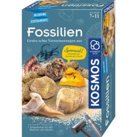 Kosmos Fossilien-image