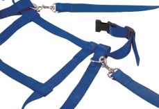 Kinder Laufleine Nylon blau-image