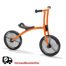 BikeRunner Maxi aktiv-image