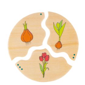 NAWITO Entwicklung-image