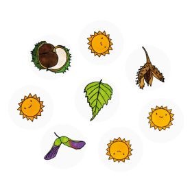 Blätterstempel, 10er Set-image