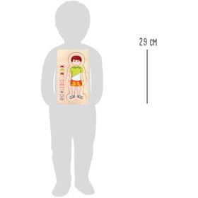 Schichtenpuzzle Anatomie Junge-image