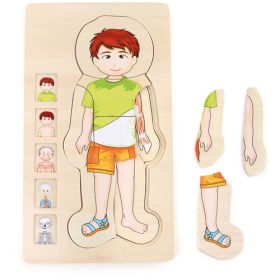 Schichtenpuzzle Anatomie Junge-image